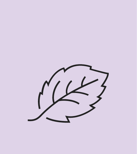 an icon of a leaf with veins