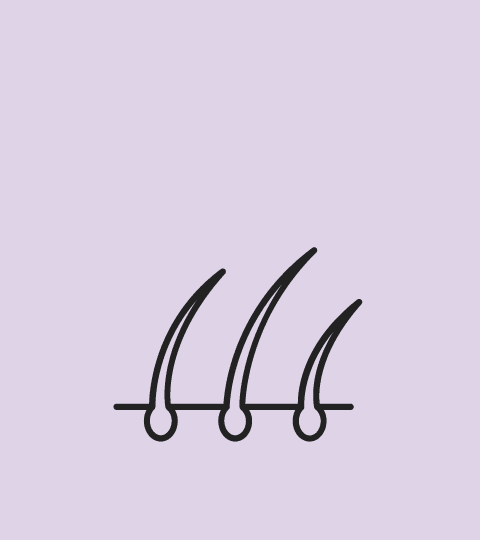 an icon with three hairs sprouting from the skin